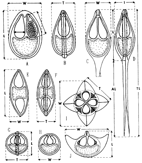 Fig. 9