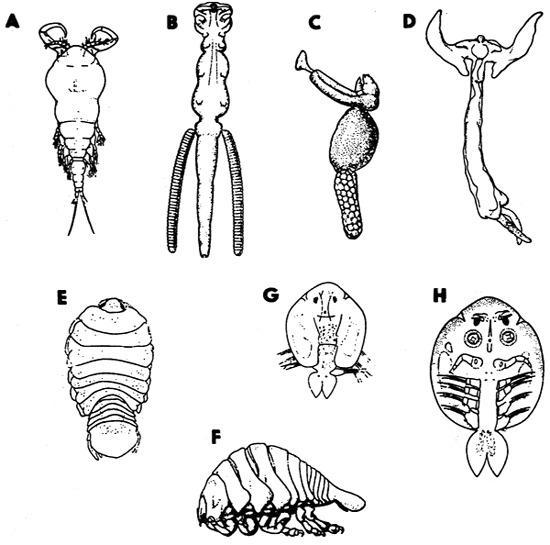 Fig. 16