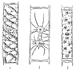 Fig. 6--23