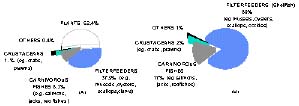 UntWMF13.JPG (8902 byte)