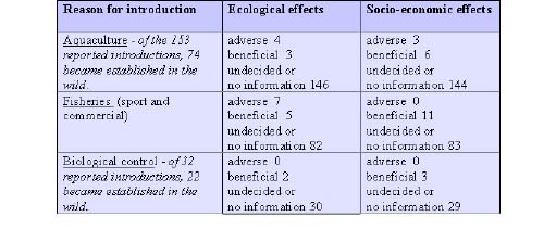 UntWMF10.JPG (29856 byte)