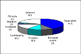 UntiWMF9.JPG (9020 byte)