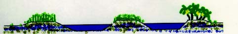 digue3.JPG (9878 byte)