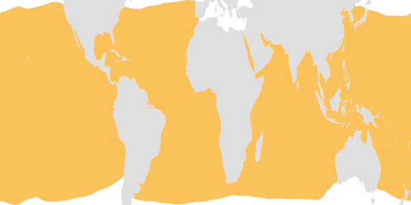 FAO aquatic species distribution map of Sandalops melancholicus ...