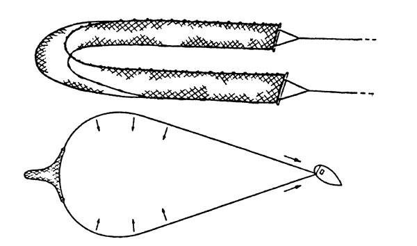 Seine nets - Fishing gear type