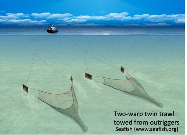 Twin bottom otter trawls - Fishing gear type