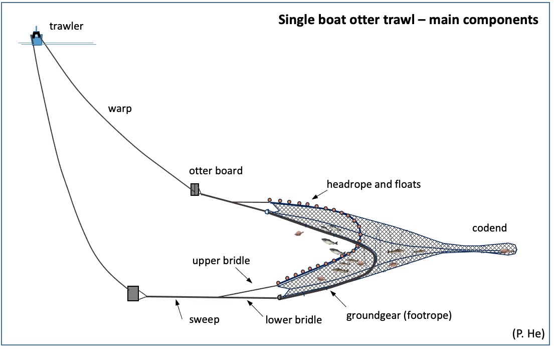 Single boat bottom otter trawls - Fishing gear type