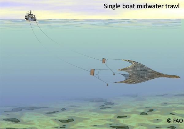 Single boat midwater otter trawls - Fishing gear type