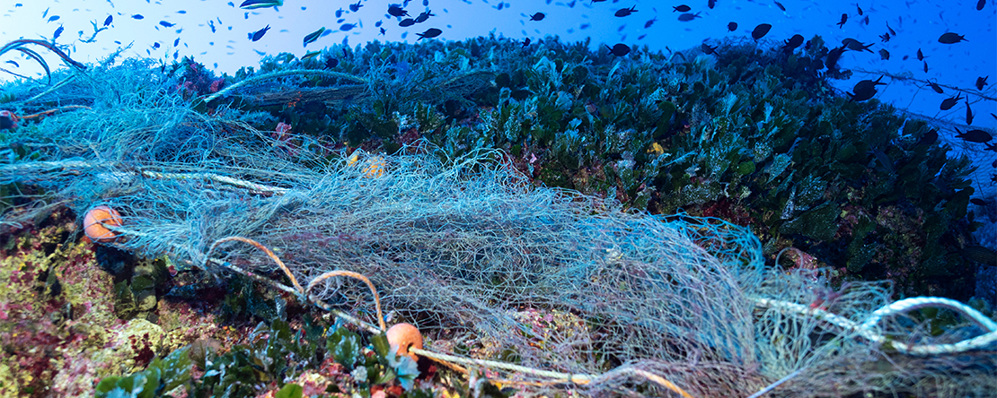 Ghost gear threatens livelihoods and marine ecosystems - What's new
