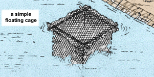 0446-01.gif (41914 byte)