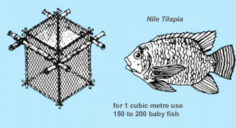 0482-01.gif (40992 byte)