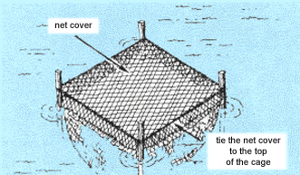 0483-01.gif (56526 byte)