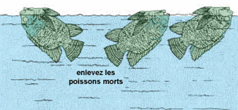 0412-01.gif (47109 byte)