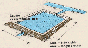 3 Easy Ways to Measure Pond Water Temperature - wikiHow Life