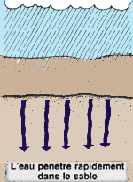 6c.GIF (17403 byte)