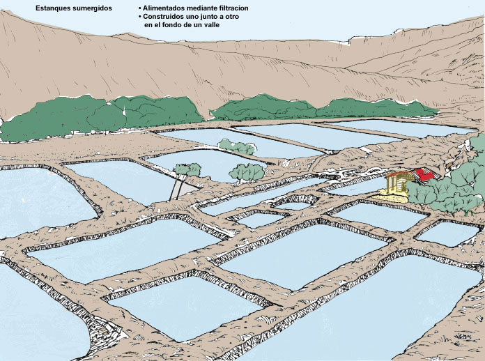 Preparativos y construcción del estanque - Tiendanimal