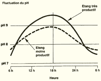 011b.GIF (5020 byte)