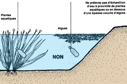 026.GIF (20099 byte)