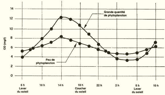 031a.GIF (12915 byte)