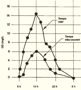 031b.GIF (21119 byte)