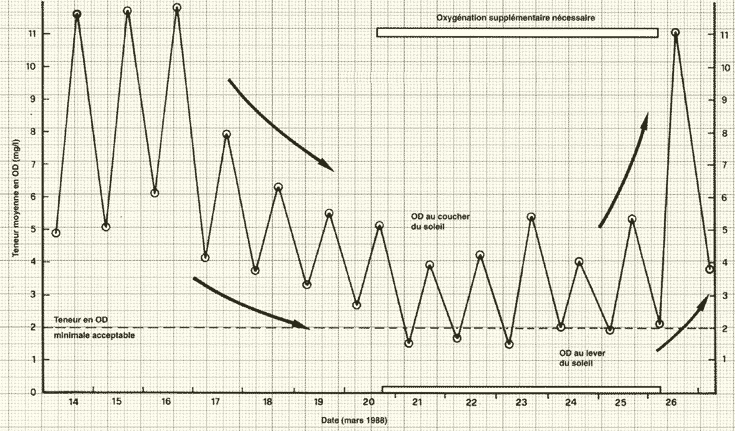 037a.GIF (77355 byte)