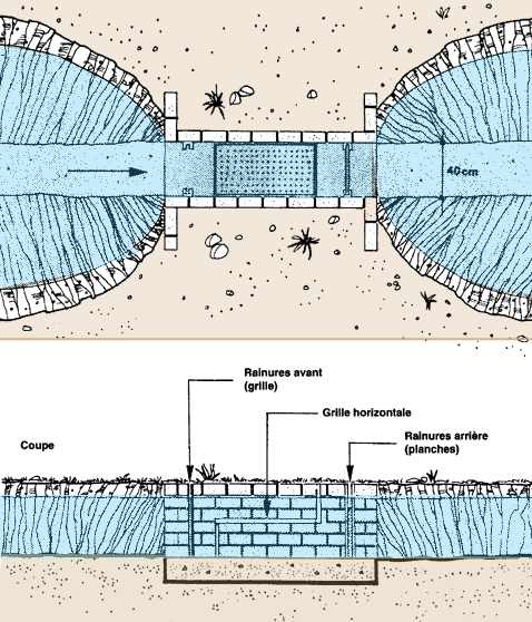 059b.GIF (41280 byte)