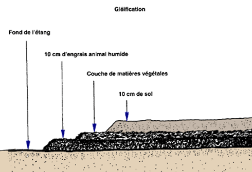 072A.GIF (10609 byte)