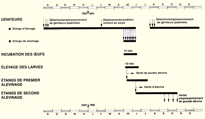 107.GIF (39407 byte)