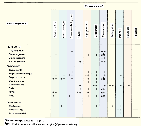 122.GIF (35485 byte)