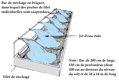 191.GIF (12980 byte)