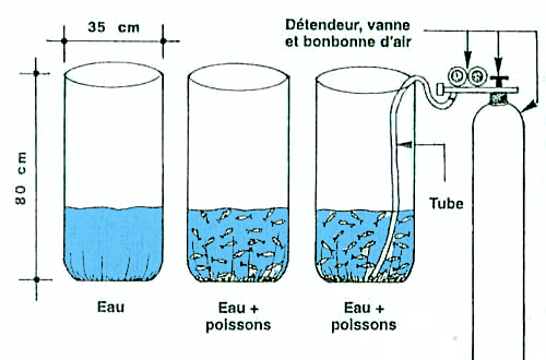 Sac De Transport Poissons Vivants Pliable 36L 42L 50L - Seau Pêche Étanche Portable EVA - Camping Pêche