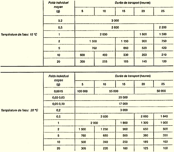 230.GIF (41017 byte)