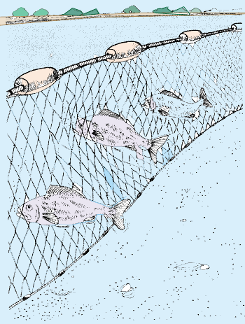 Filet de pêche pliable - Filet de pêche - Filet de pêche - Filet en nylon -  Panier à poisson simple - Convient pour le placement de poissons et