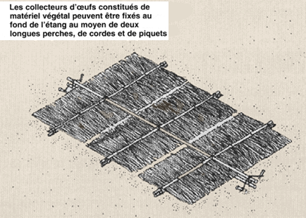 69d_1.GIF (29088 byte)