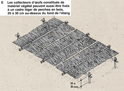 69d_2.GIF (28455 byte)