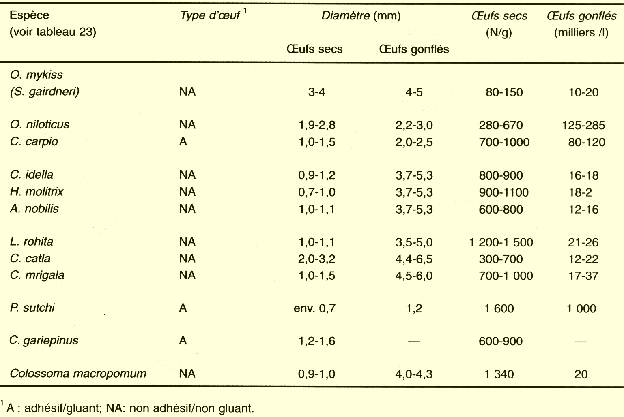 72a.GIF (33626 byte)