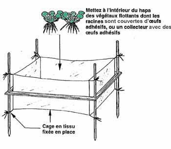 76b.JPG (23549 byte)