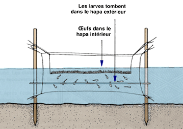 78_a.GIF (32021 byte)