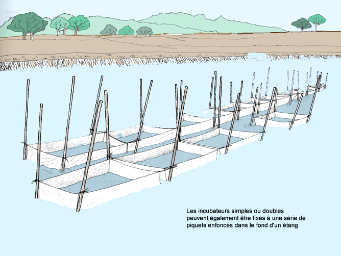 79.GIF (151541 byte)