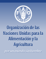 Logo: Organización de las Naciones Unidas para la Agricultura y la Alimentación