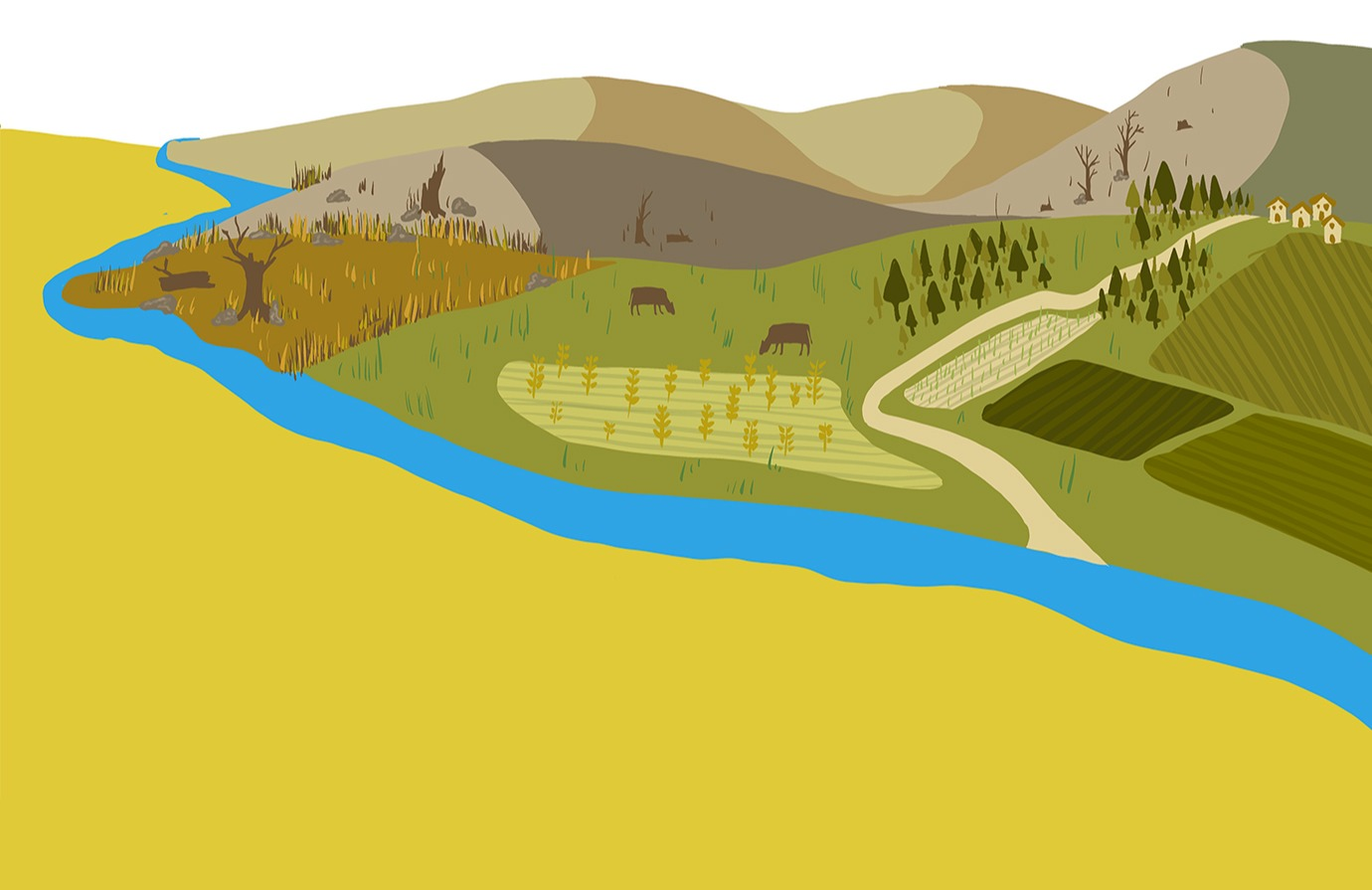 Landscape illustration