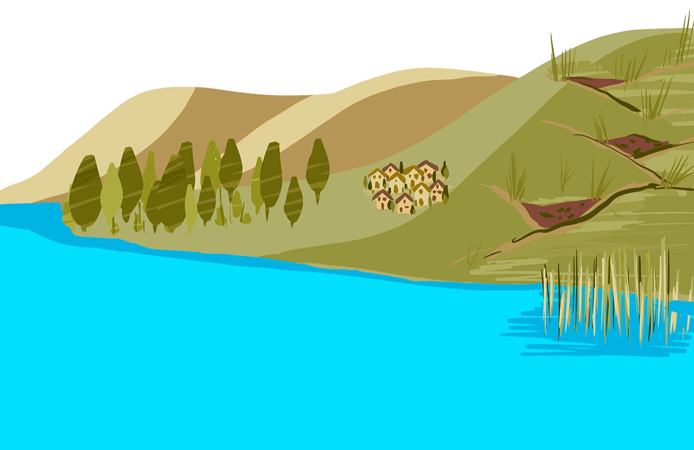 Forest and landscape restoration