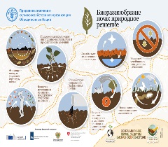 Биоразнообразие почв: природное решение