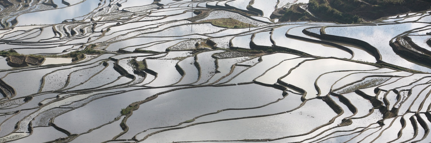 NEW 10. GIAHS FAO Min Qingwen_Hani rice terraces (1)