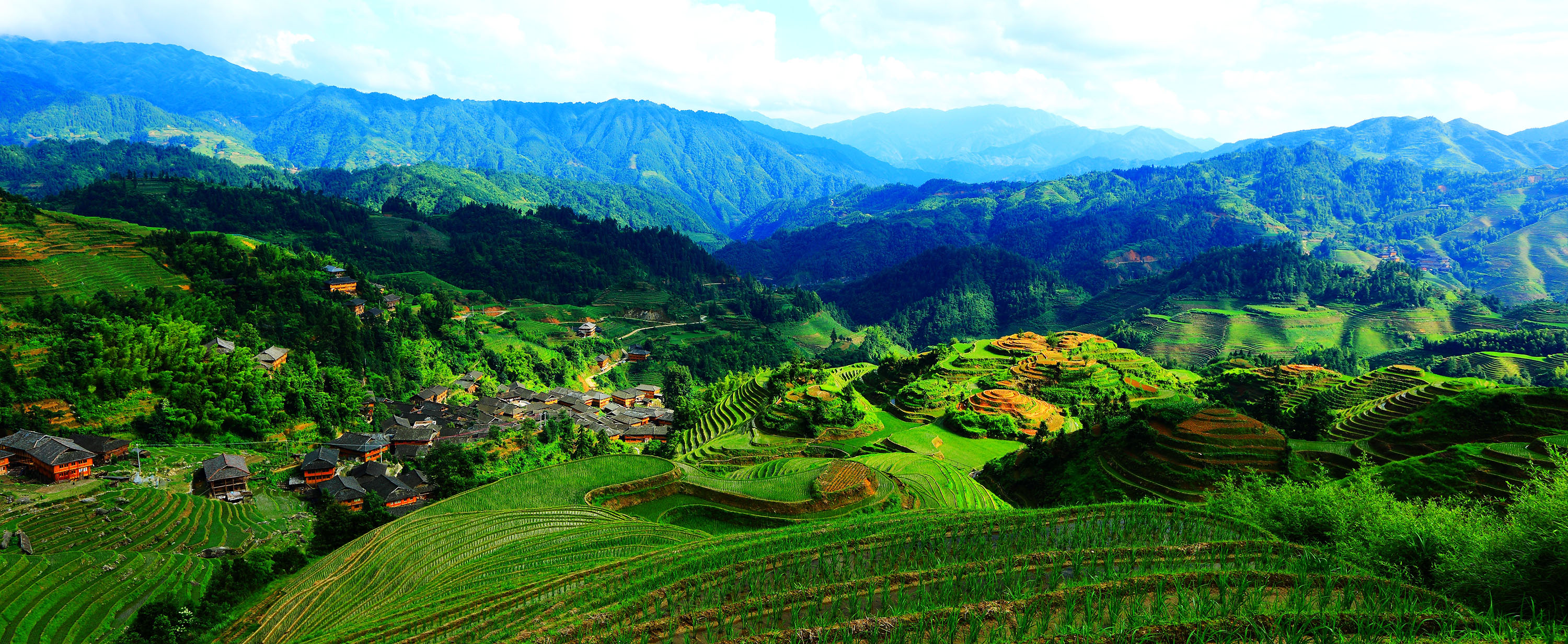 Photo courtesy of GIAHS (Rice Terraces in Southern Mountainous and Hilly areas, China)