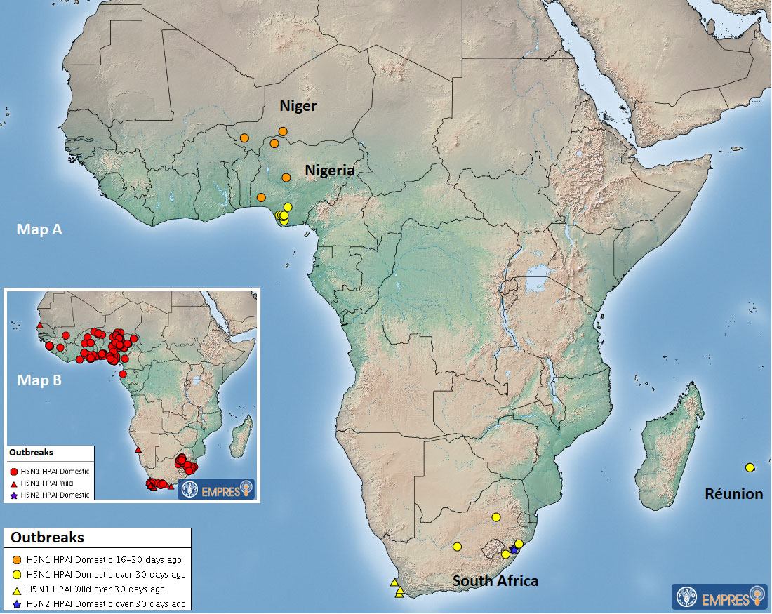 Officially reported HPAI outbreaks (H5N1, H5N2 and H5N8 subtypes) in sub-Saharan Africa, by onset date (1 October– 12 January 2023)