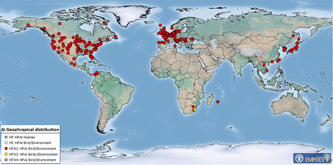 Global distribution of AIV with zoonotic potential* observed since 01 October 2022 (i.e. current wave)