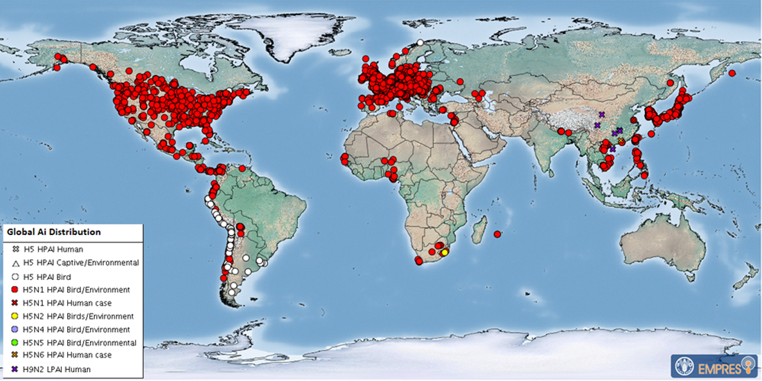 Avian Influenza Resources Michelle Wille