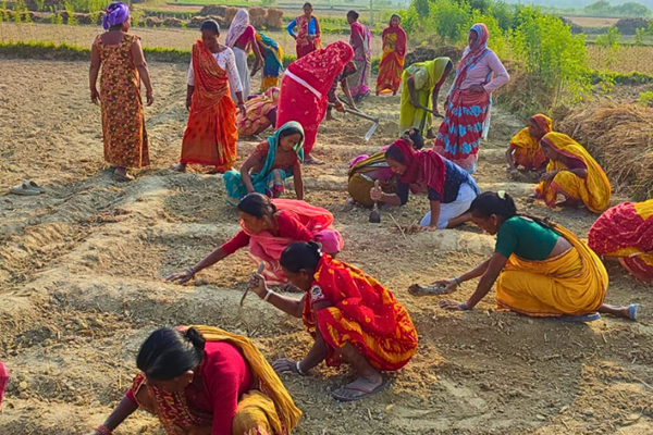 Les écoles d'agriculture de terrain améliorent les compétences des femmes au Népal
