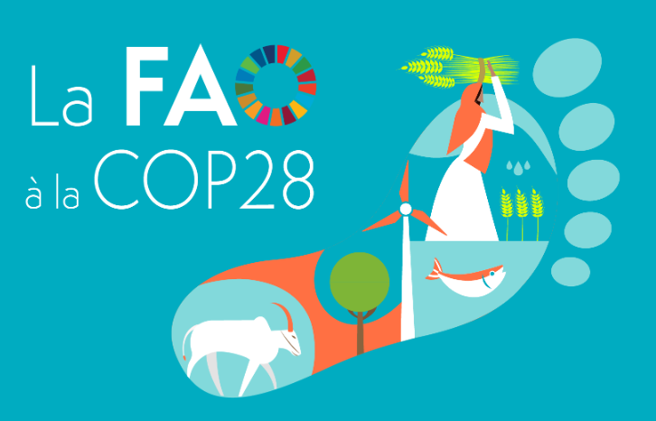 fr-faocop28 fr-faocop28